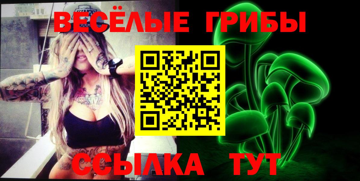 Псилоцибиновые грибы Cubensis Жигулёвск